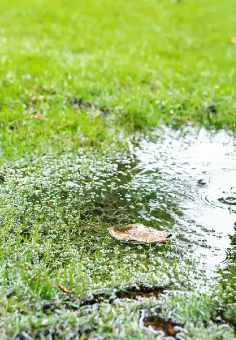 Flooding in a yard.