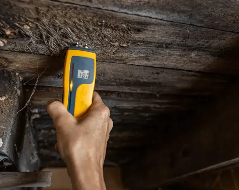 Home inspection of wood dammage to determine moisture level.