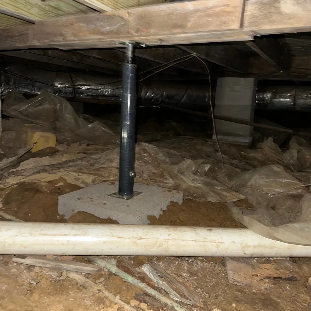 Underneath an Arlington home.