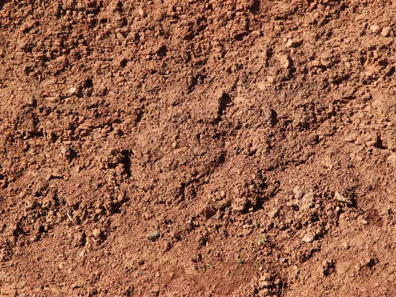 Clay soil, common in the midsouth.