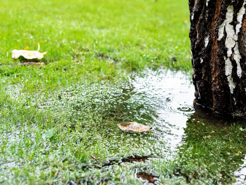 Flooding in a yard.